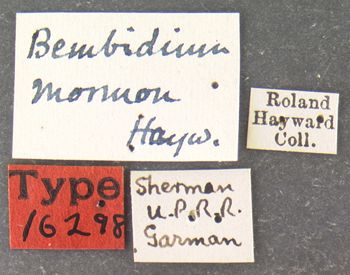 Media type: image;   Entomology 16298 Aspect: labels